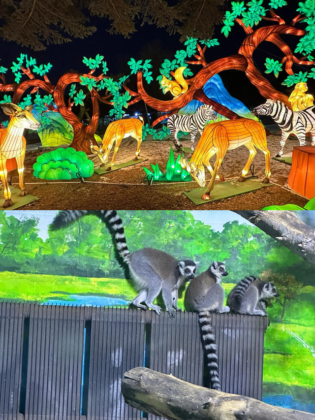 長春動植物公園夜遊，夢回西遊奇幻之旅！