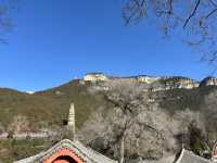 深冬的濟南靈岩寺常來靈岩，事事靈驗