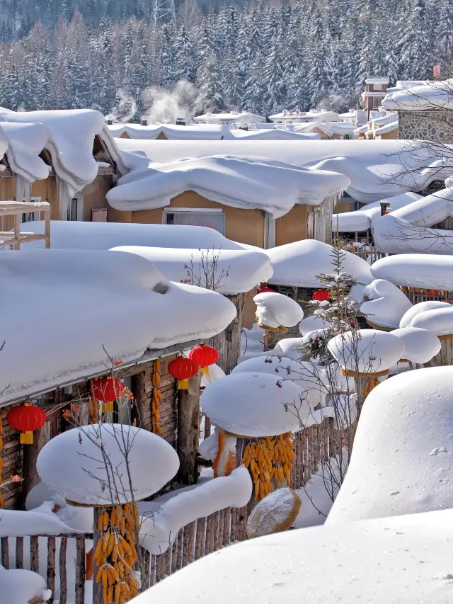 雪鄉｜這個冬天一定要來看一看現實版的狗熊嶺