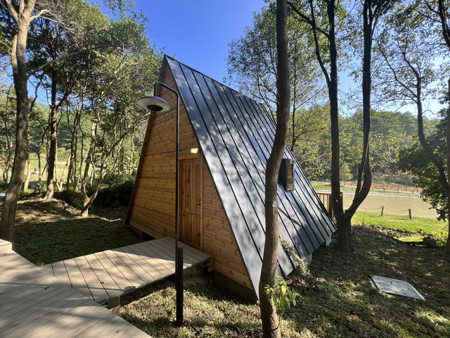 深圳出發1.5h，我找到了宮崎駿童話裏的治癒山谷