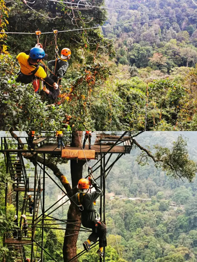 Xishuangbanna, Yunnan | Jungle Flight Guide