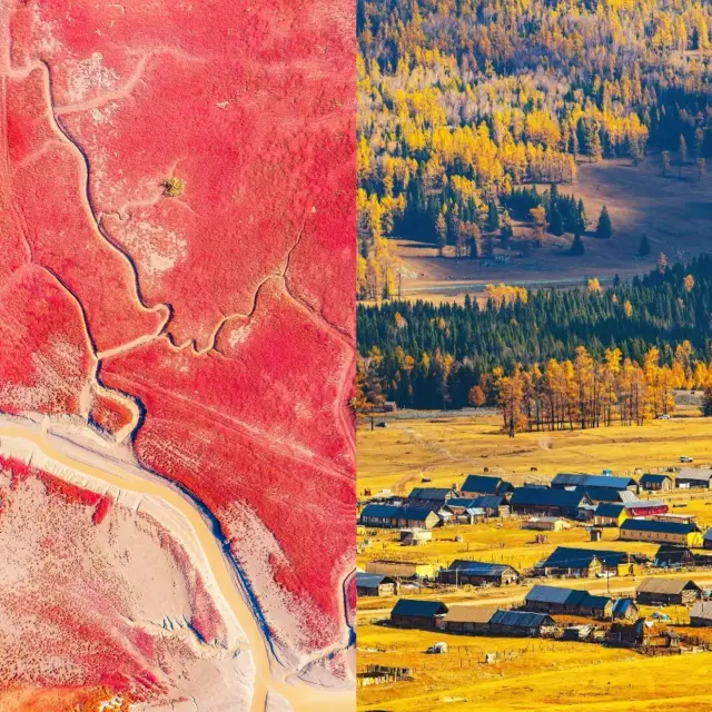 賞楓天花板！紅葉季地圖來了