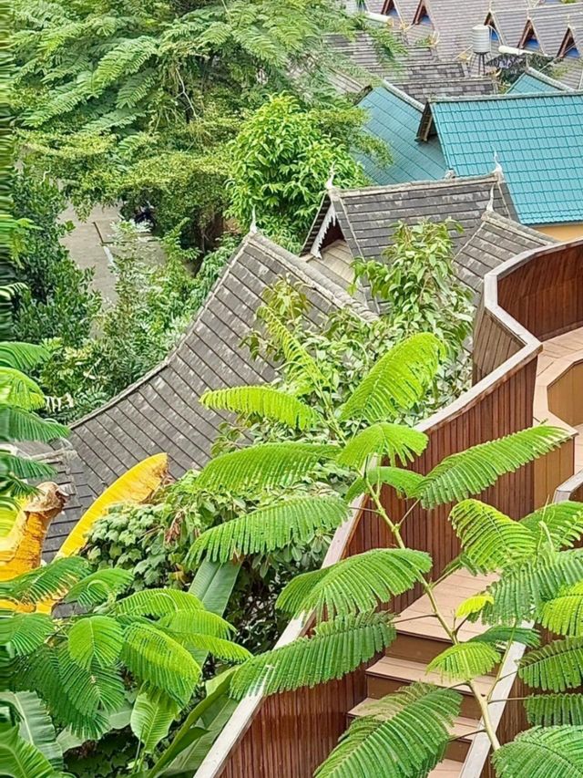 西雙版納景洪素隱伴山