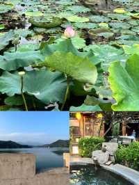 千萬不要去古泉小鎮,真的不想走