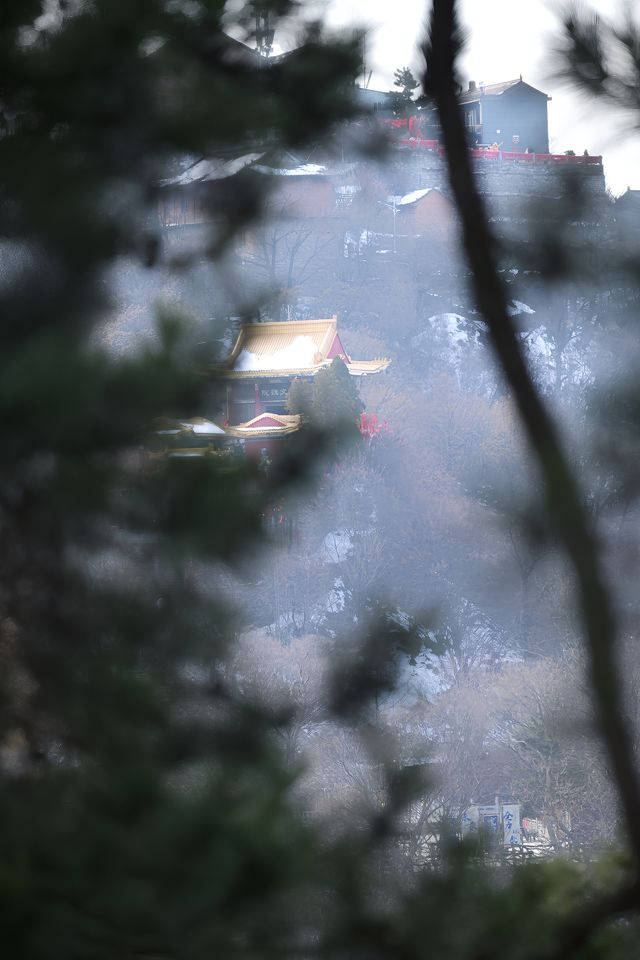 關於南五台的 plog｜「登山去，徒開心。」