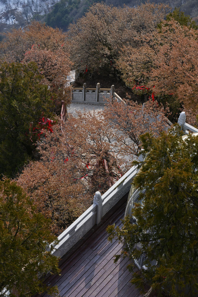 關於南五台的 plog｜「登山去，徒開心。」