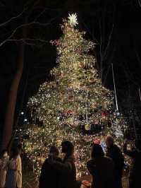 Karuizawa Highland Church Christmas Lighting Guide