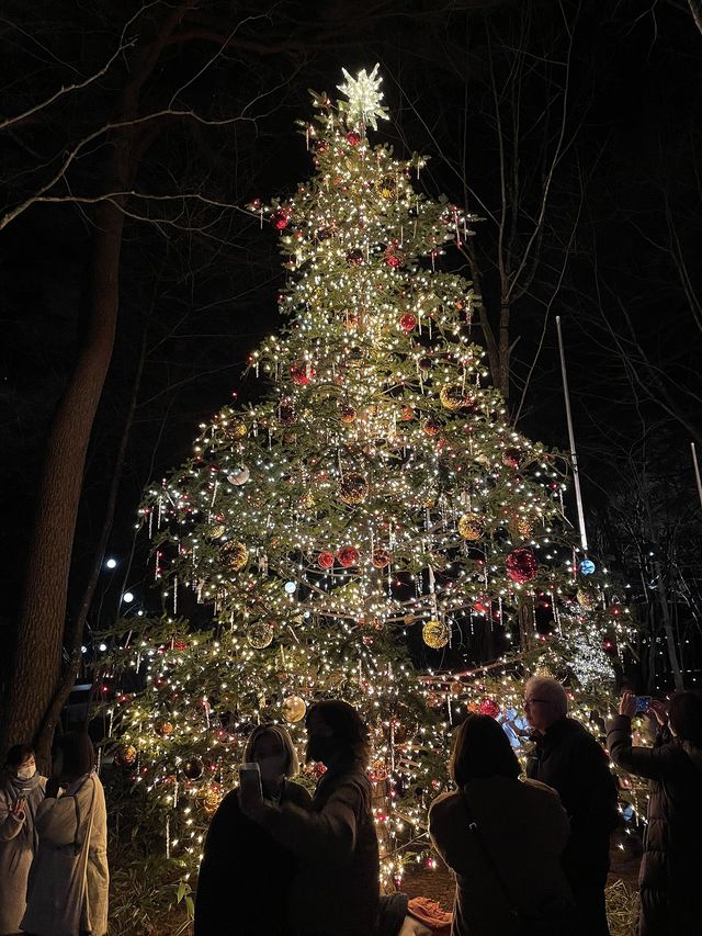Karuizawa Highland Church Christmas Lighting Guide