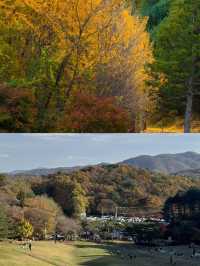 韓國清州旅遊推程路線和景點
