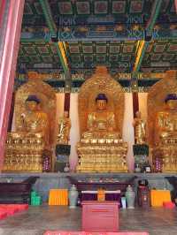 甘露寺一座藏有地下迷宮的寺廟