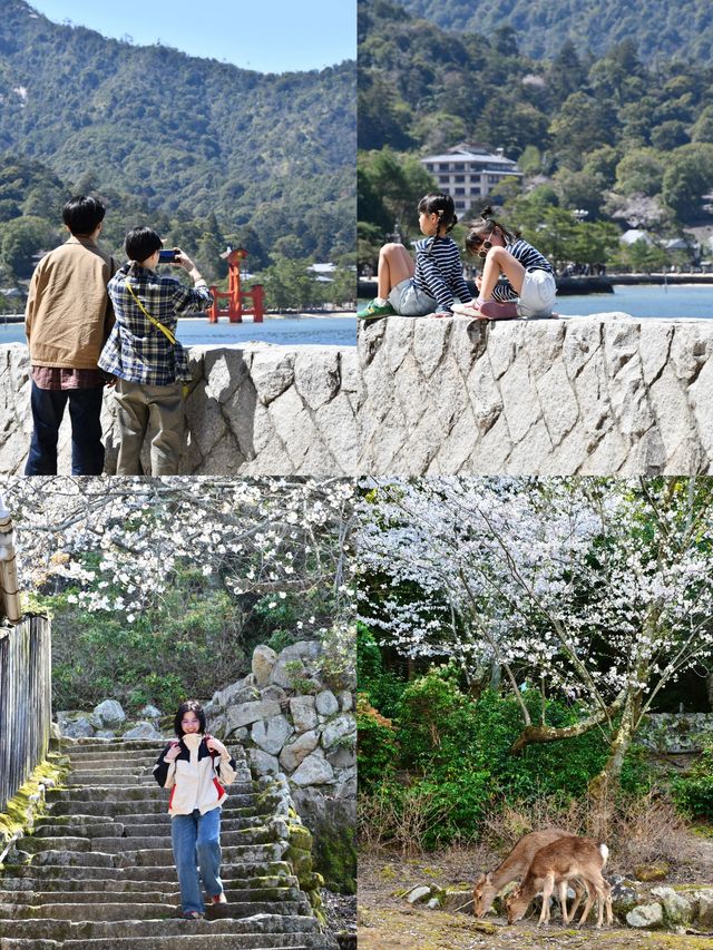 廣島：歲月長卷中的多元華章