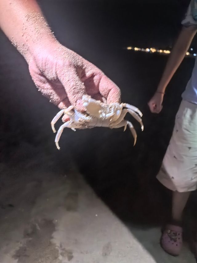 【親子遊首選】峇里島親子遊攻略來啦！