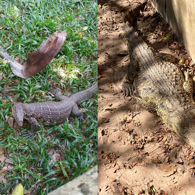 達累斯薩拉姆動物園，與非洲野生動物親密接觸的超讚體驗