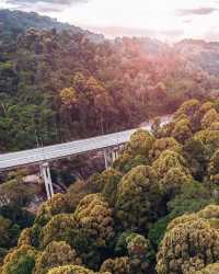 探秘馬來西亞最高公路旁的秘境森林，必打卡的治癒系行山路線！
