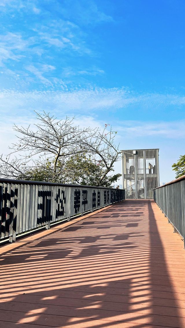 立新湖公園