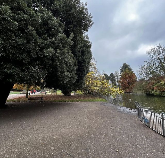 闖進利明頓，邂逅綠地公園的悠閒時光
