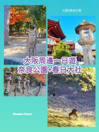 大阪行程｜周邊一日遊｜奈良公園與春日大社