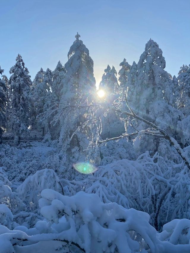 洪雅2日遊 探尋古鎮古村的韻味