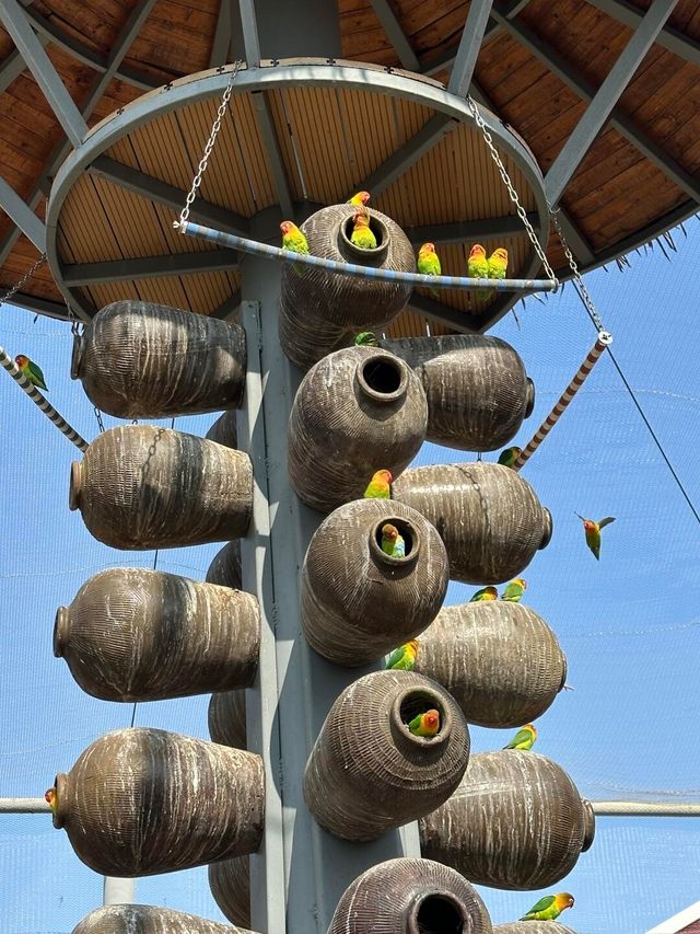 杭州野生動物園親測攻略