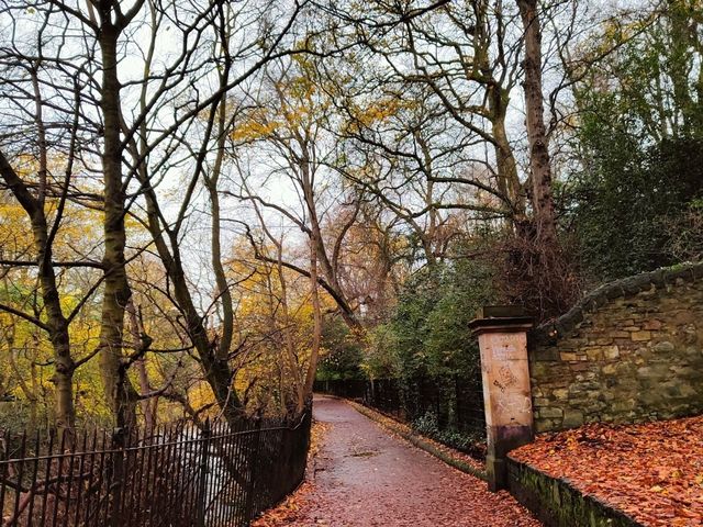 Autumn Holidays in Edinburgh: A Seasonal Dream🍂🍁