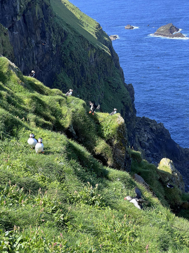 法羅群島|Live圖還原現實版薩爾達傳說