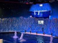 🐬 珠海的歡樂海洋世界 - 珠海長隆海洋王國 🐬