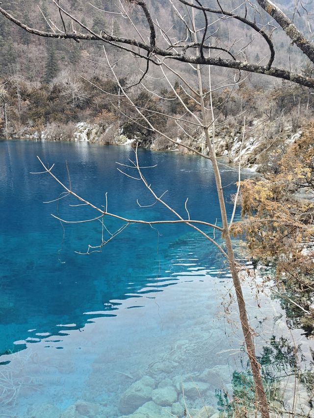 九寨溝-黃龍探秘 與國寶熊貓的邂逅之旅別錯過