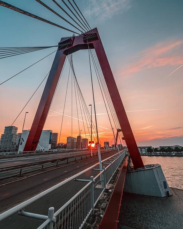 荷蘭鹿特丹馬斯河大橋：雄偉與優雅的完美結合