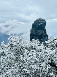天空之城—梵淨山（附遊玩攻略）||
