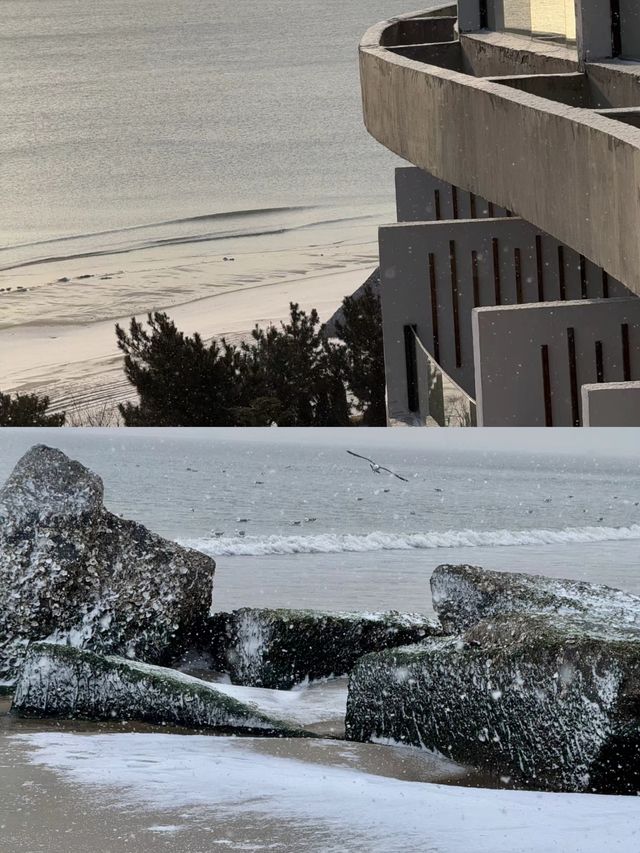 威海酒店躺平 海景房變雪景房
