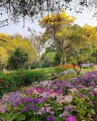 拉克什米維哈爾公園：印度賴布爾的自然綠洲