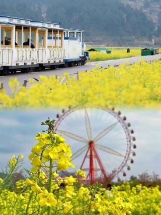 See the most beautiful spring in Guizhou in 1 hour without spending a dime! 
