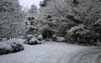 【京都· 龍安寺雪景·2025】