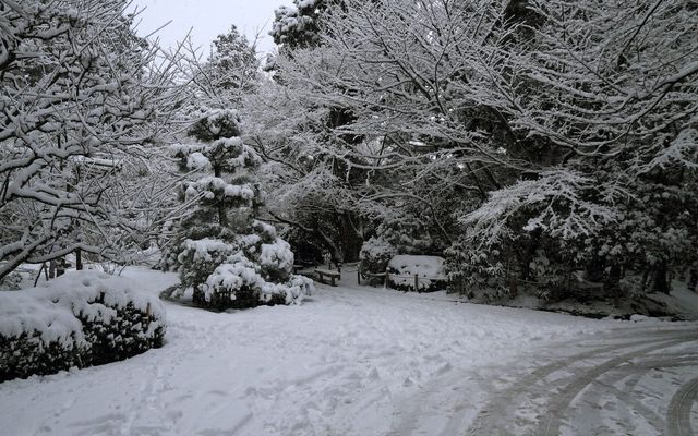 【京都· 龍安寺雪景·2025】