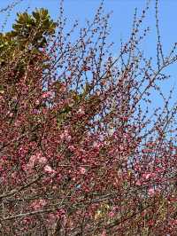 週末親子遊｜芒砀山地質公園，探索地球的奧秘