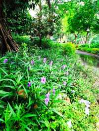 湖濱花園