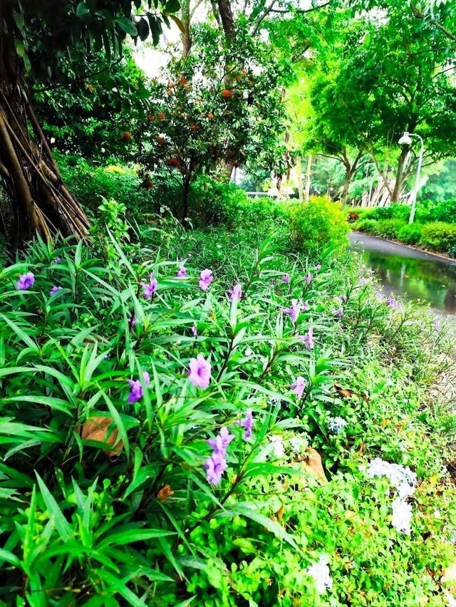 湖濱花園