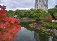 探索名古屋白鳥庭園｜欣賞自然之美