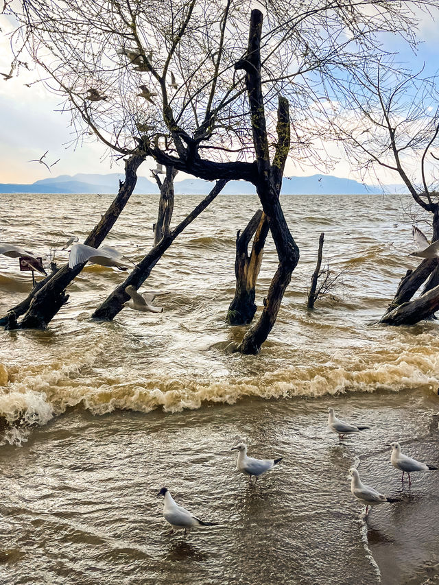 撈魚河濕地公園生存指南：如何完美仆街！