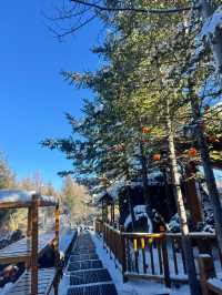 延邊-白山探秘 森林氧吧等你來吸超治癒系旅行地