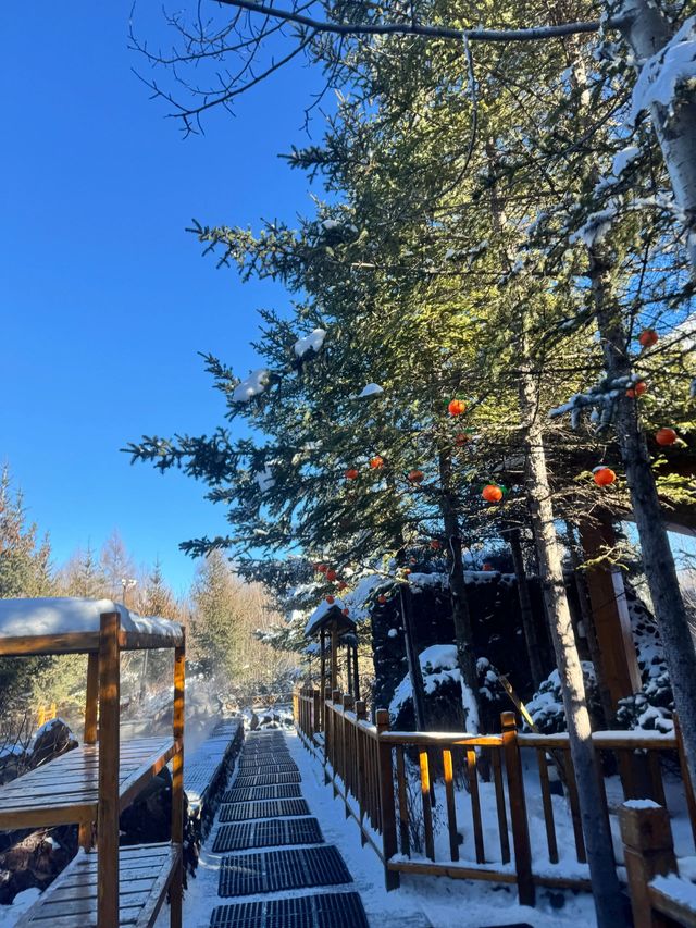 延邊-白山探秘 森林氧吧等你來吸超治癒系旅行地