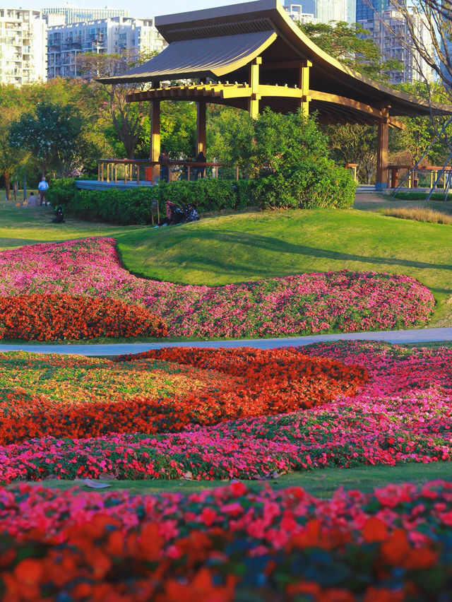 《桂灣公園的花海盛景》