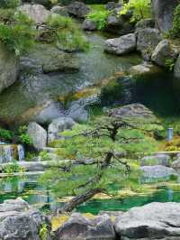 福岡大濠公園日本庭園︱邂逅和風詩意之境