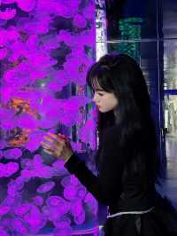 最美女神挑戰，快來昆明海趣花都海洋世界