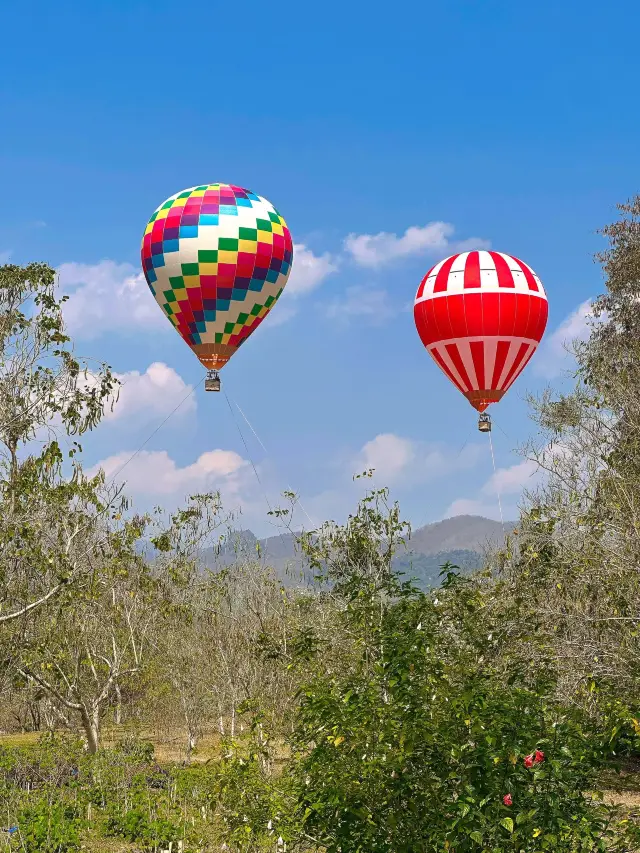 เที่ยวสิบสองปันนา 5 วัน สุดคุ้ม ไม่เสียเที่ยว