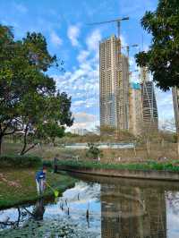 深圳最適合帶小朋友捉魚釣魚的公園