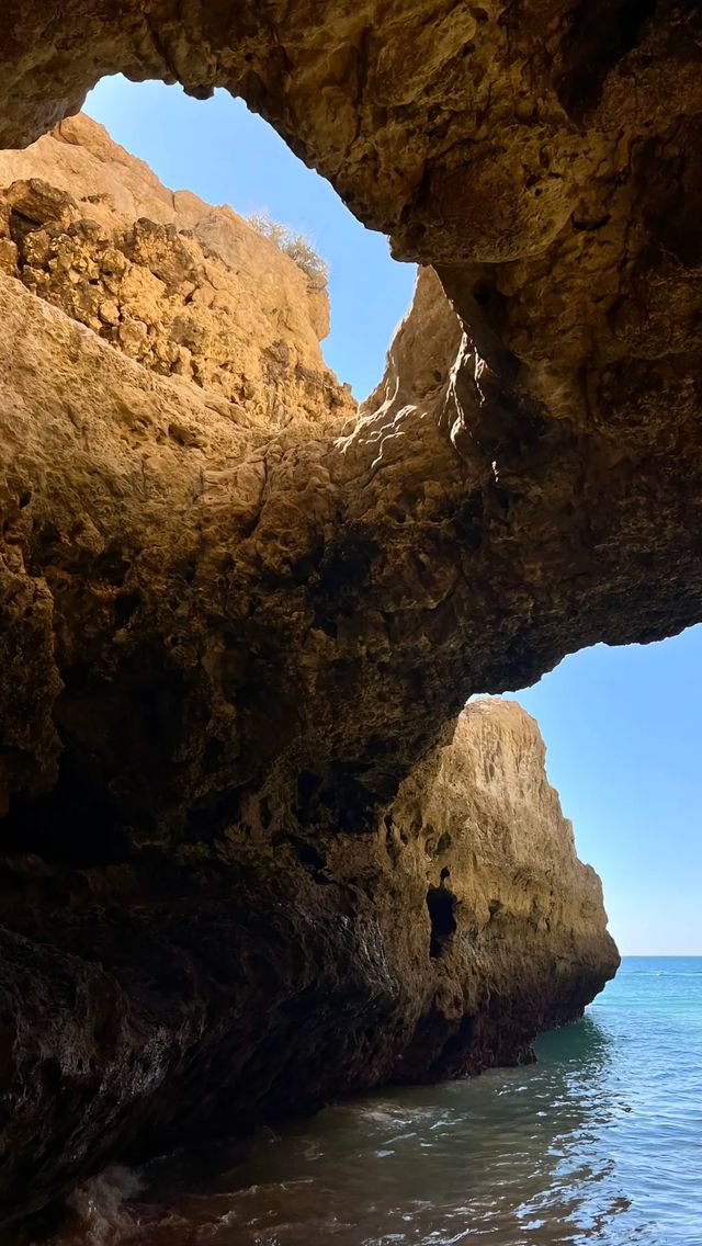 法魯，Trip.com相伴的夢幻之旅