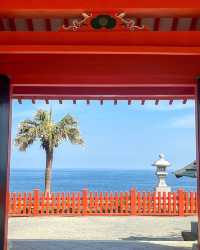 日本·宮崎 | 鵜戶神宮——海崖上的夢幻紅色神社！
