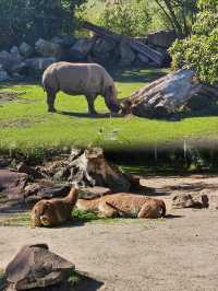 萊比錫動物園通關記！超大園區的瘋狂動物追蹤