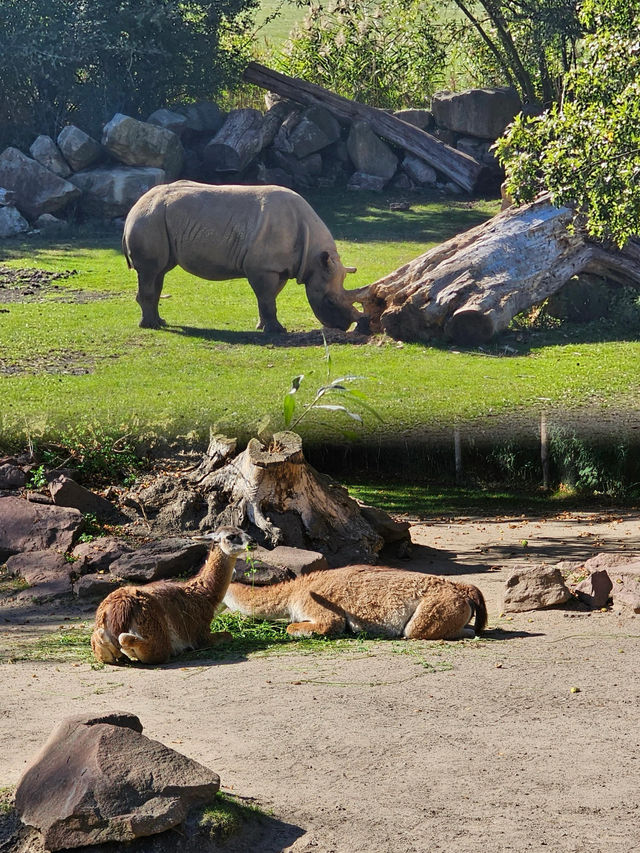 萊比錫動物園通關記！超大園區的瘋狂動物追蹤